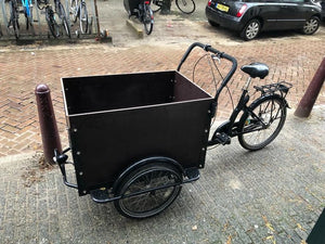 rent a cargo bike for children or goods